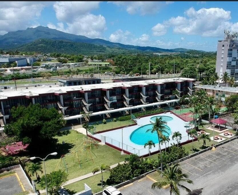 Relaxing Studio Near El Yunque With Pool View Luquillo Exterior photo